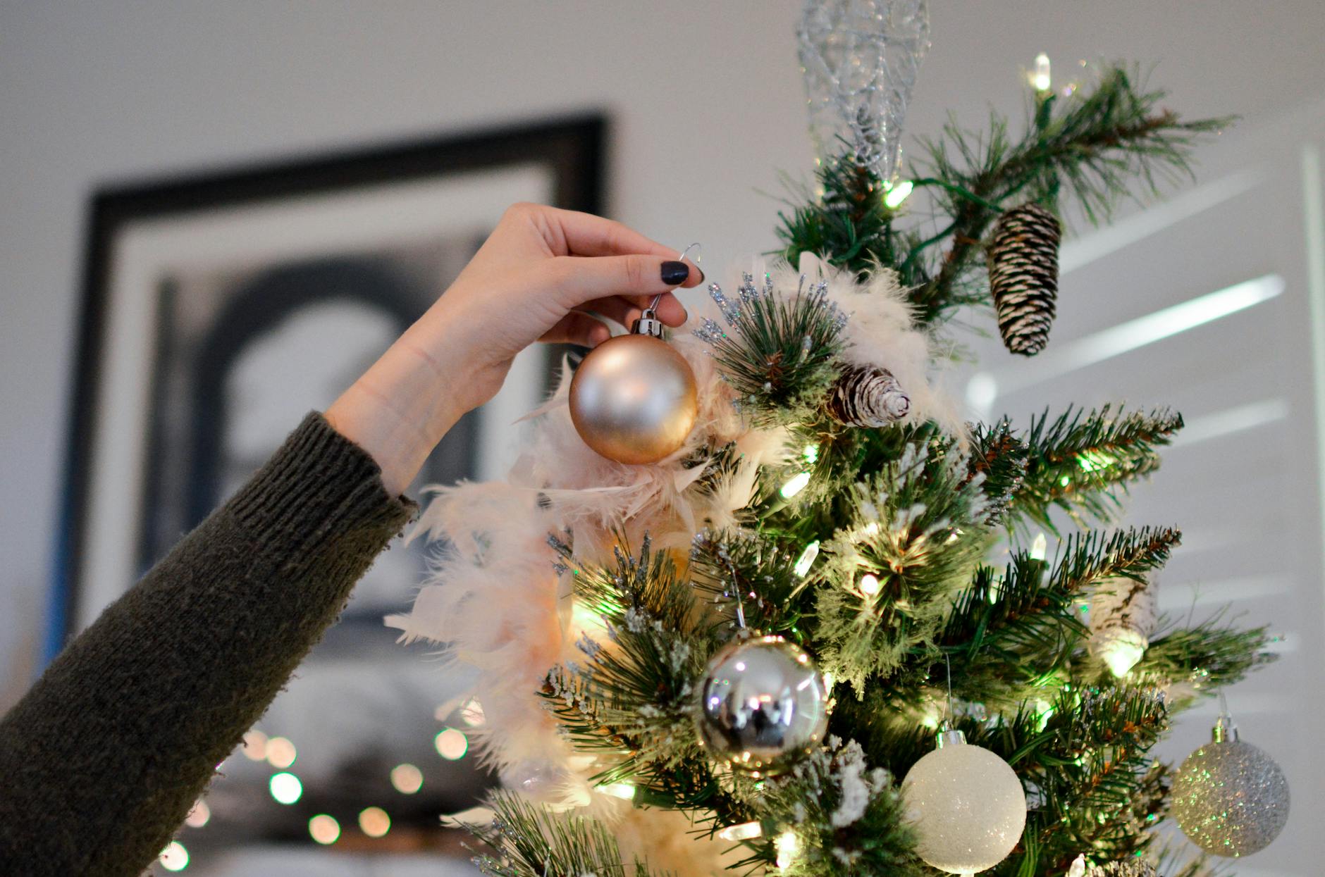 Op woensdagmiddag 8 januari 2025 vindt de jaarlijkse kerstboom ophaalactie voor inwoners uit Enkhuizen plaats.